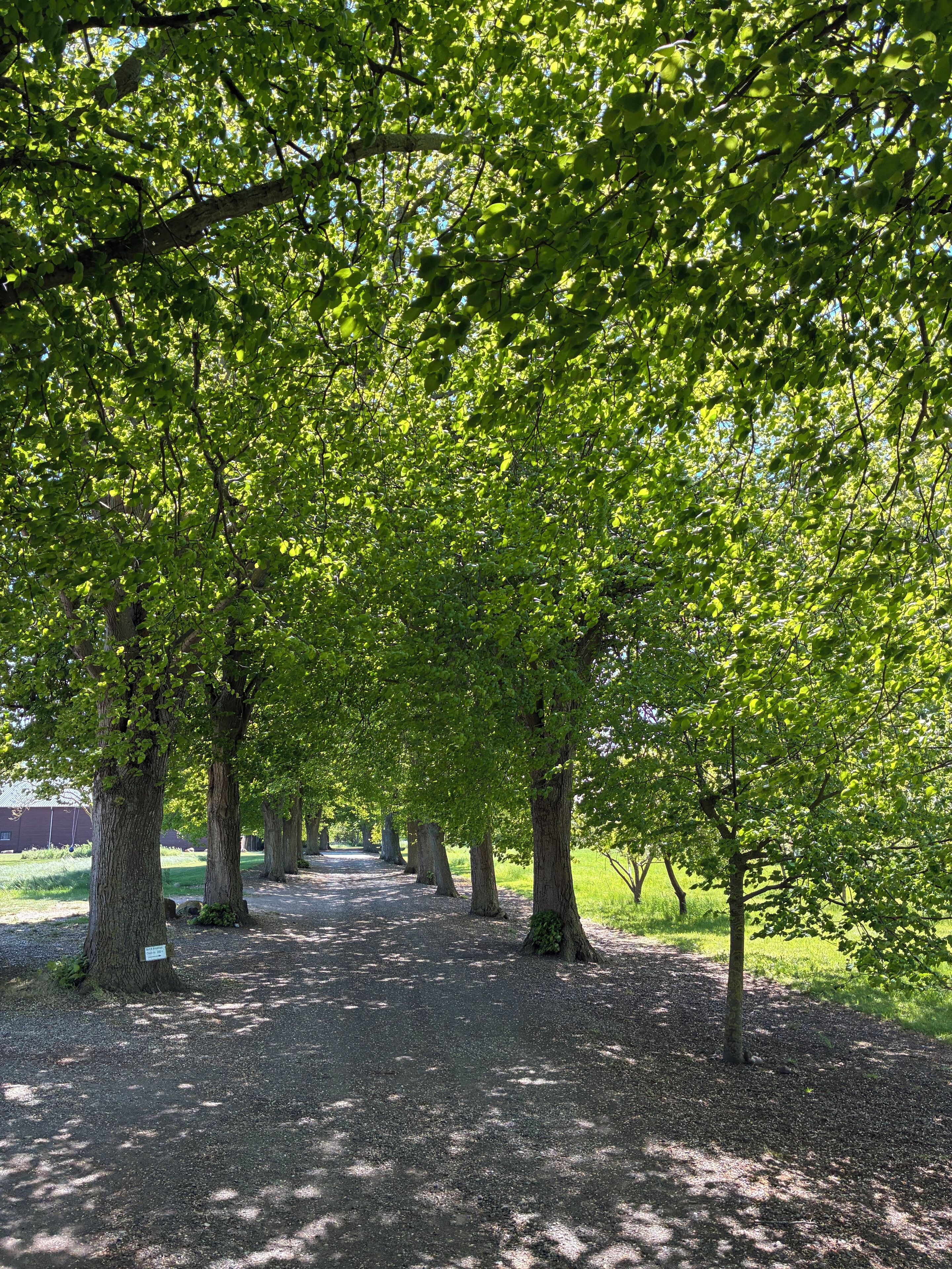 Eksteriør
