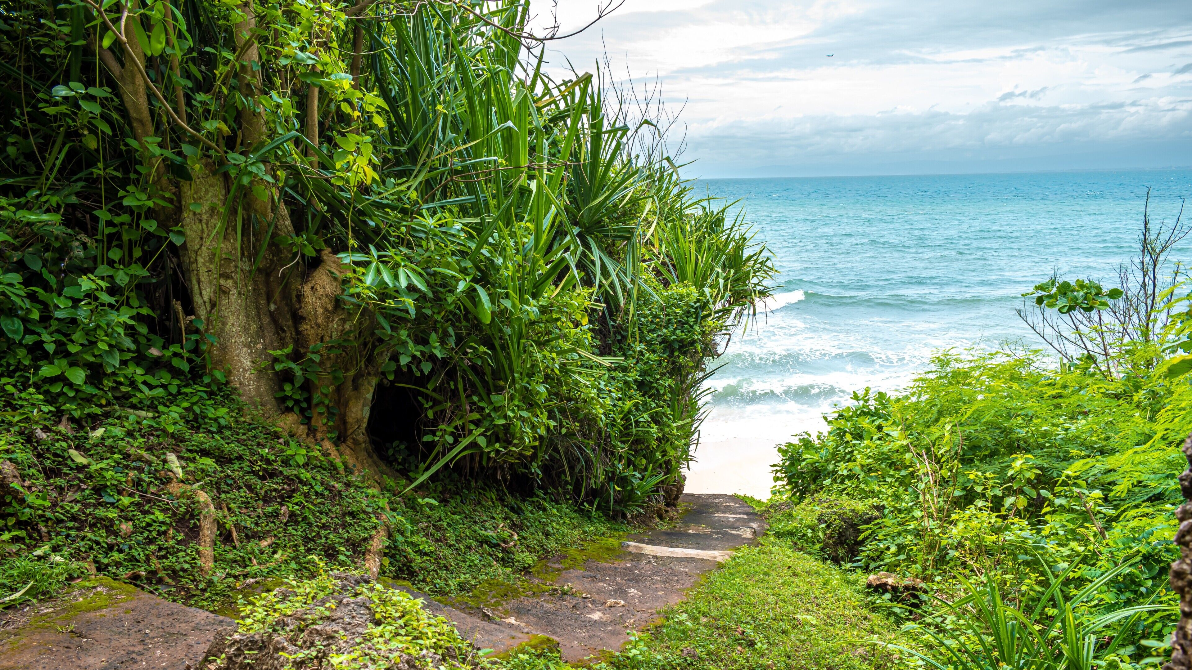 Photo - Biu Biu Resort Bali