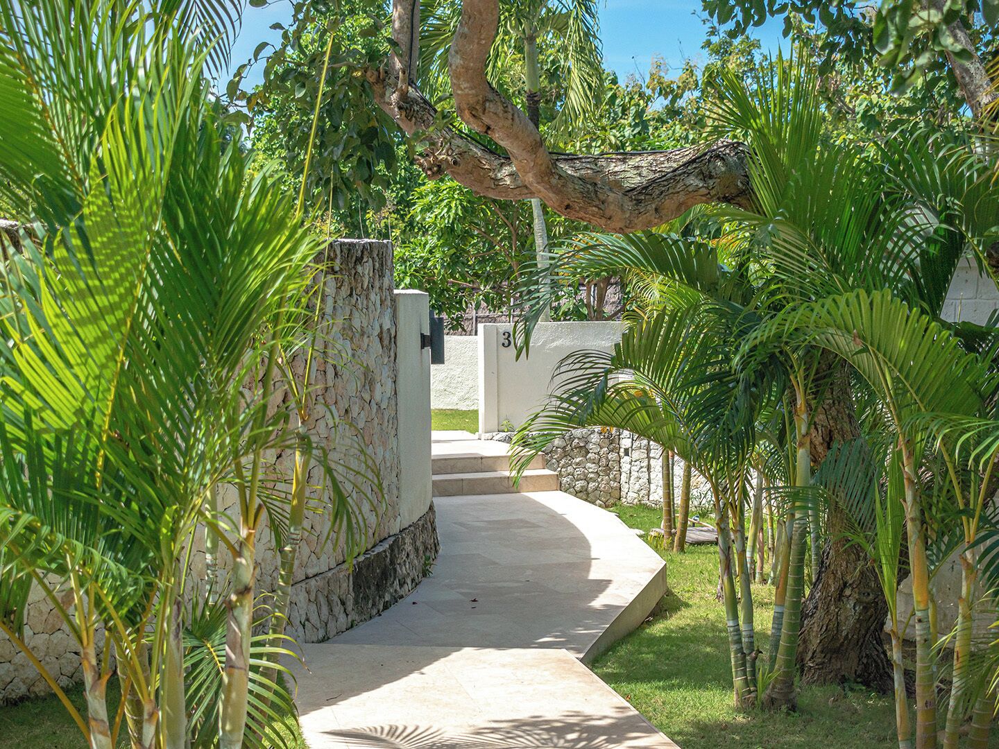 A pathway leading through a lush garden with palm trees and a stone wall.