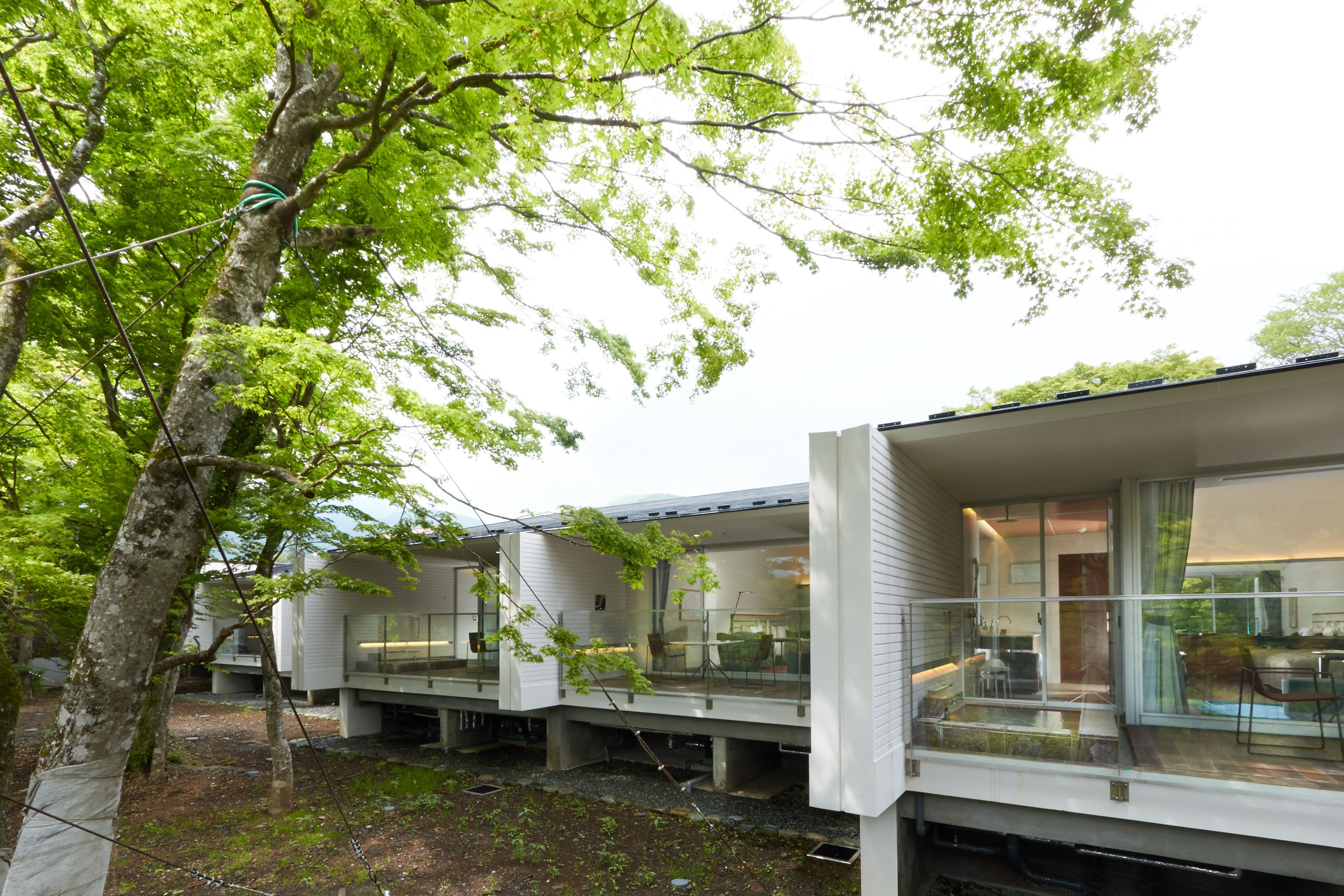 twin room, open air bath, non smoking | minibar, in-room safe, desk, laptop workspace