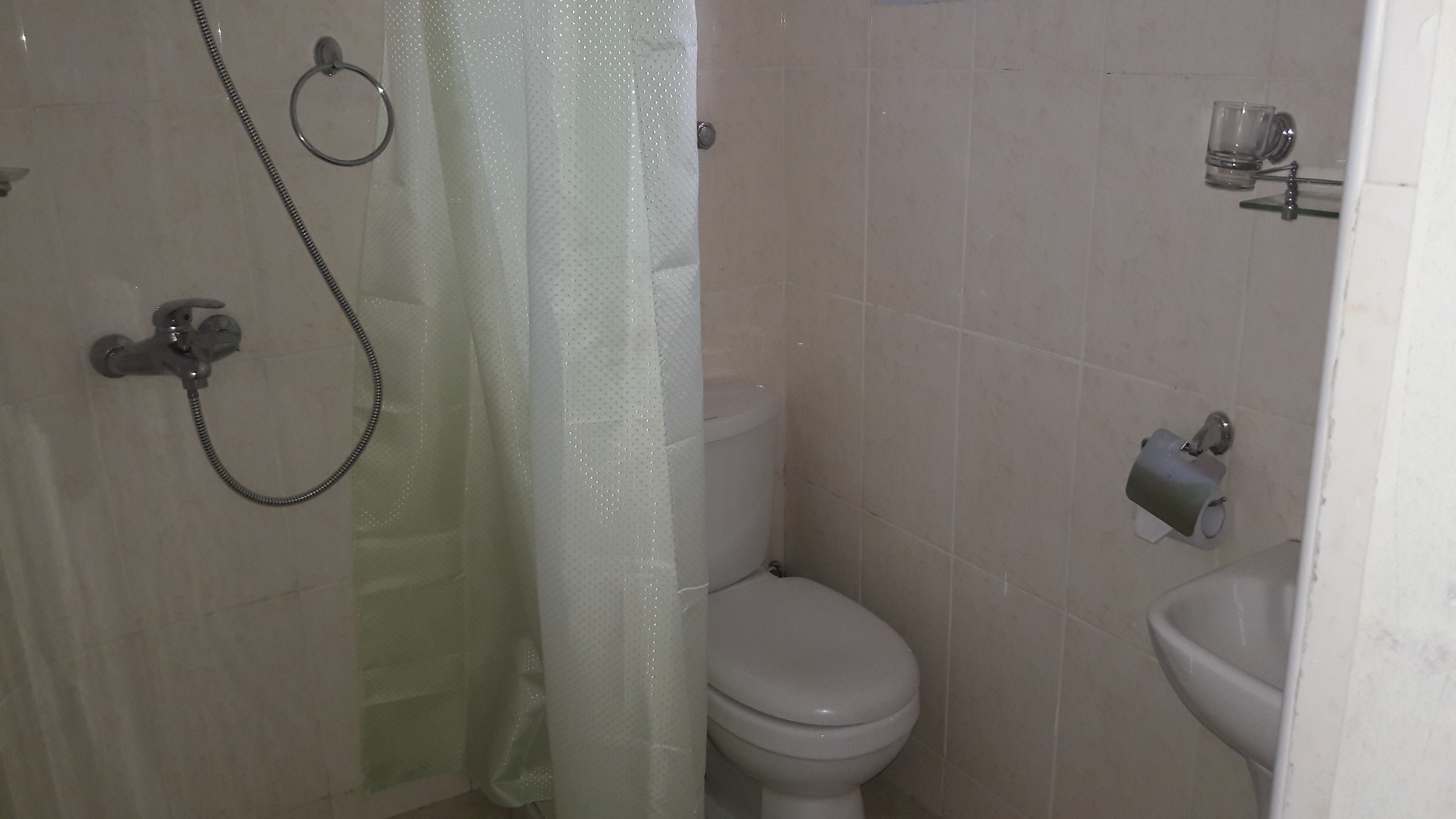 A bathroom with a shower, toilet, and bidet.