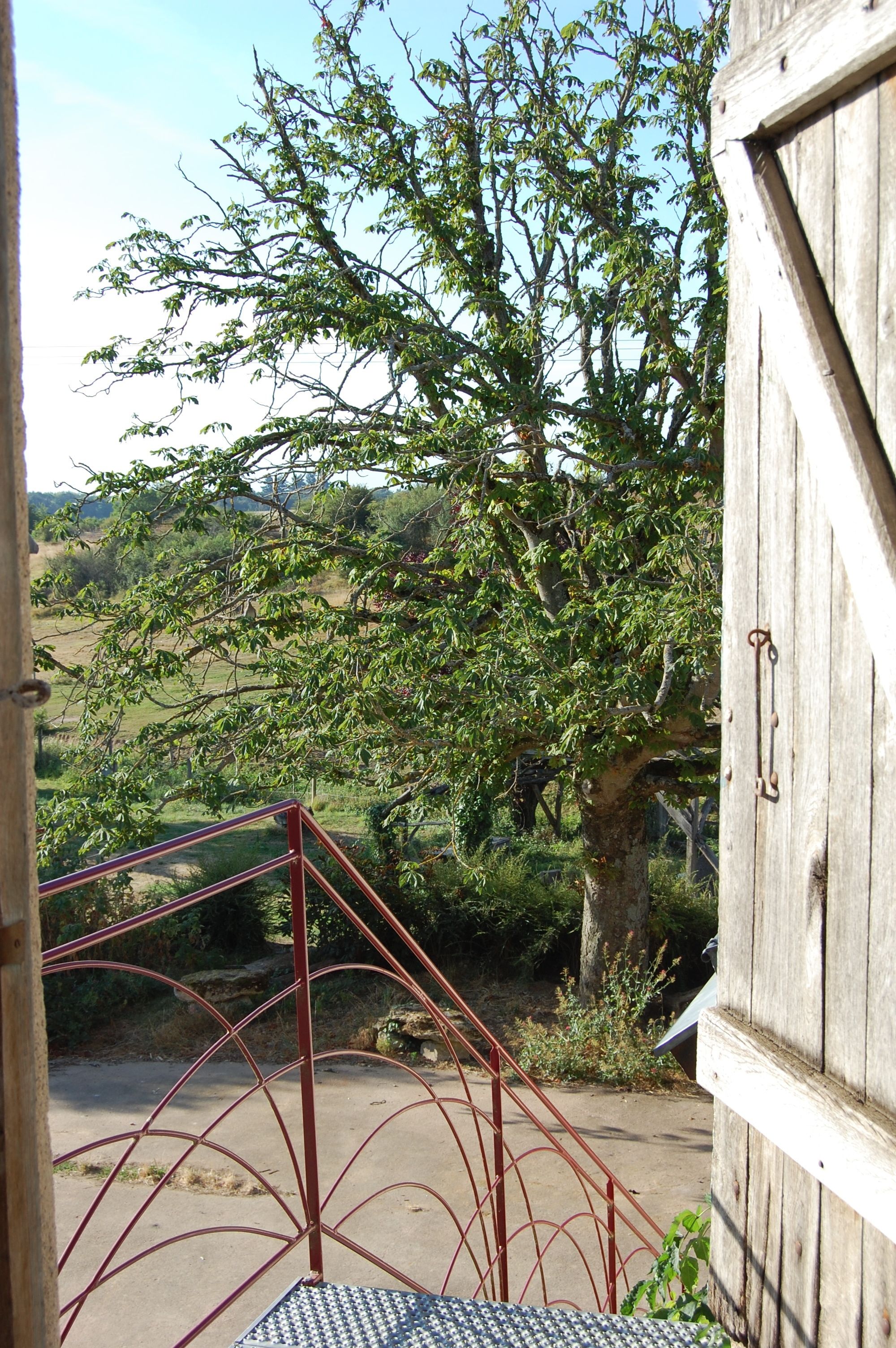 Double Room | View from room