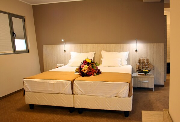Comfort Double or Twin Room | Minibar, in-room safe, desk, soundproofing - Vila Nemo (Braila)
