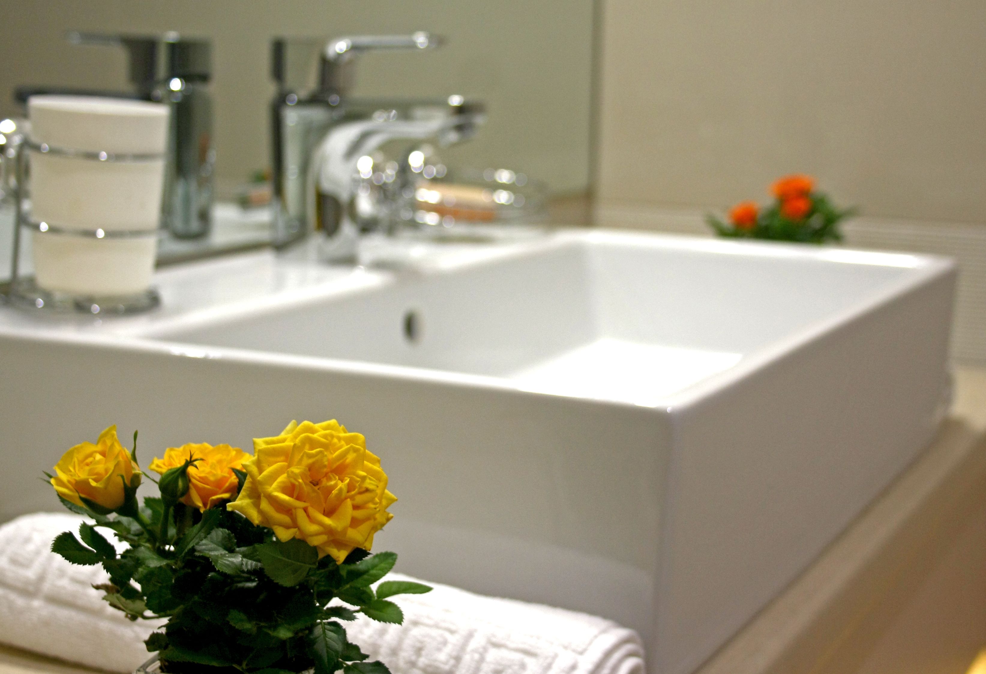 deluxe double or twin room, balcony, river view | bathroom sink