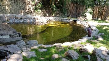 Natural pool