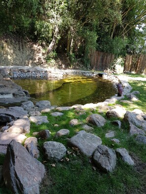 Natural pool