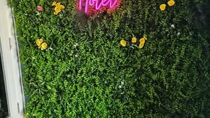 Seinä, jossa on neonvaloin valaistu kyltti, jossa lukee ”Buchtree Hotel”. Seinää ympäröi vihreää lehtokasvillisuutta ja keltaisia kukkia.