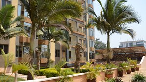 Une cour d’hôtel agrémentée de palmiers, de plantes en pot et d’une statue.