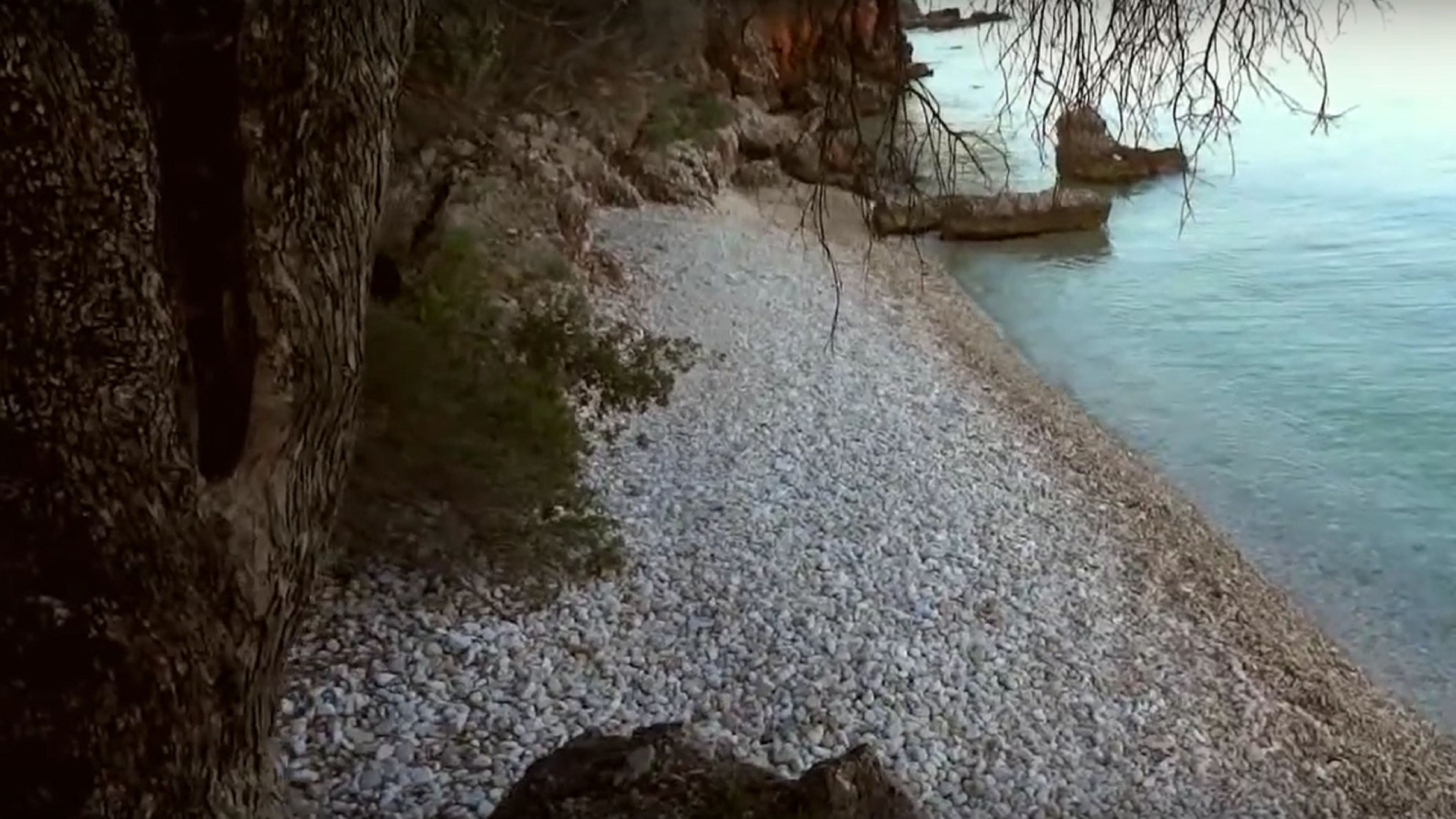 A pebbled beach with a rocky cliff and a tree on the left.