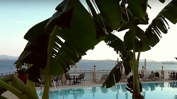 Outdoor pool, pool umbrellas, pool loungers