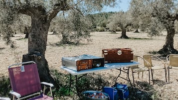 Barbecue/picknickplaats