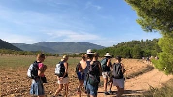 Een groep mensen wandelt over een onverhard pad, omringd door bomen en bergen.