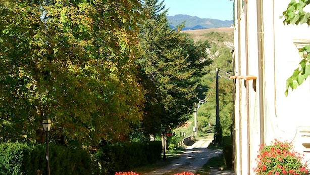 Un sendero estrecho bordeado por exuberante follaje y macetas de flores rojas, que conduce a un edificio de fachada blanca y ventana visible.