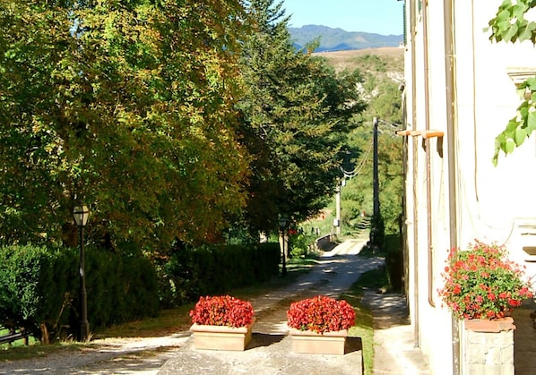 View from property - Villa Marisel (Vicchio)