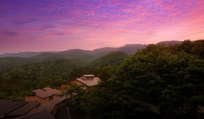 조감도