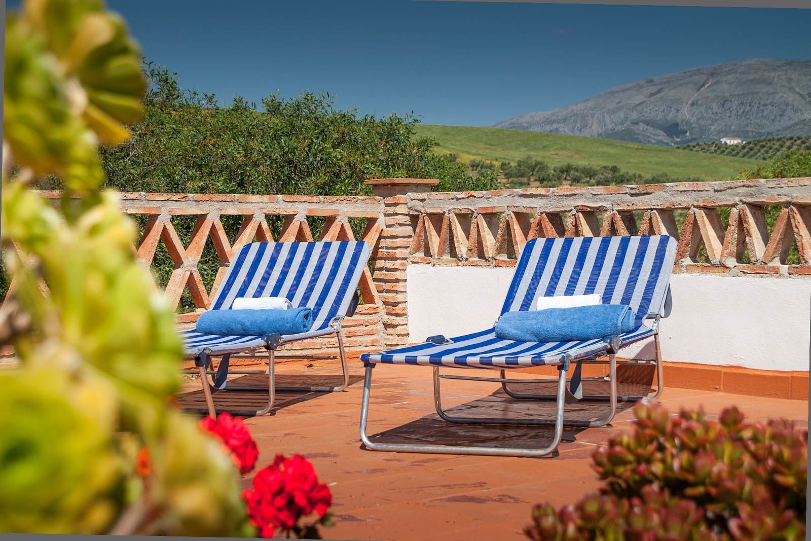 Foto - Dos Alamos B&B