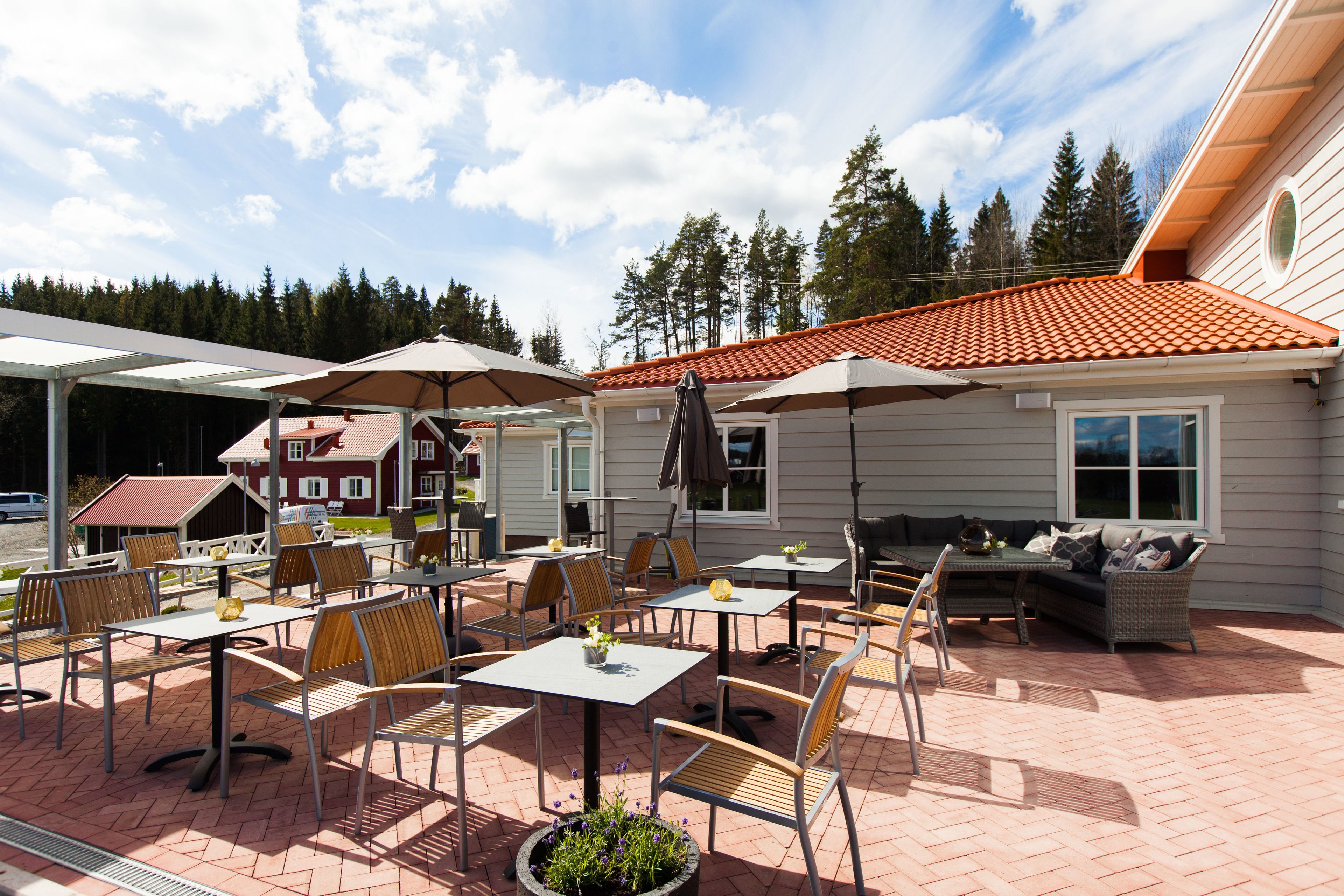 Deluxe dubbelrum | Utsikt mot trädgården