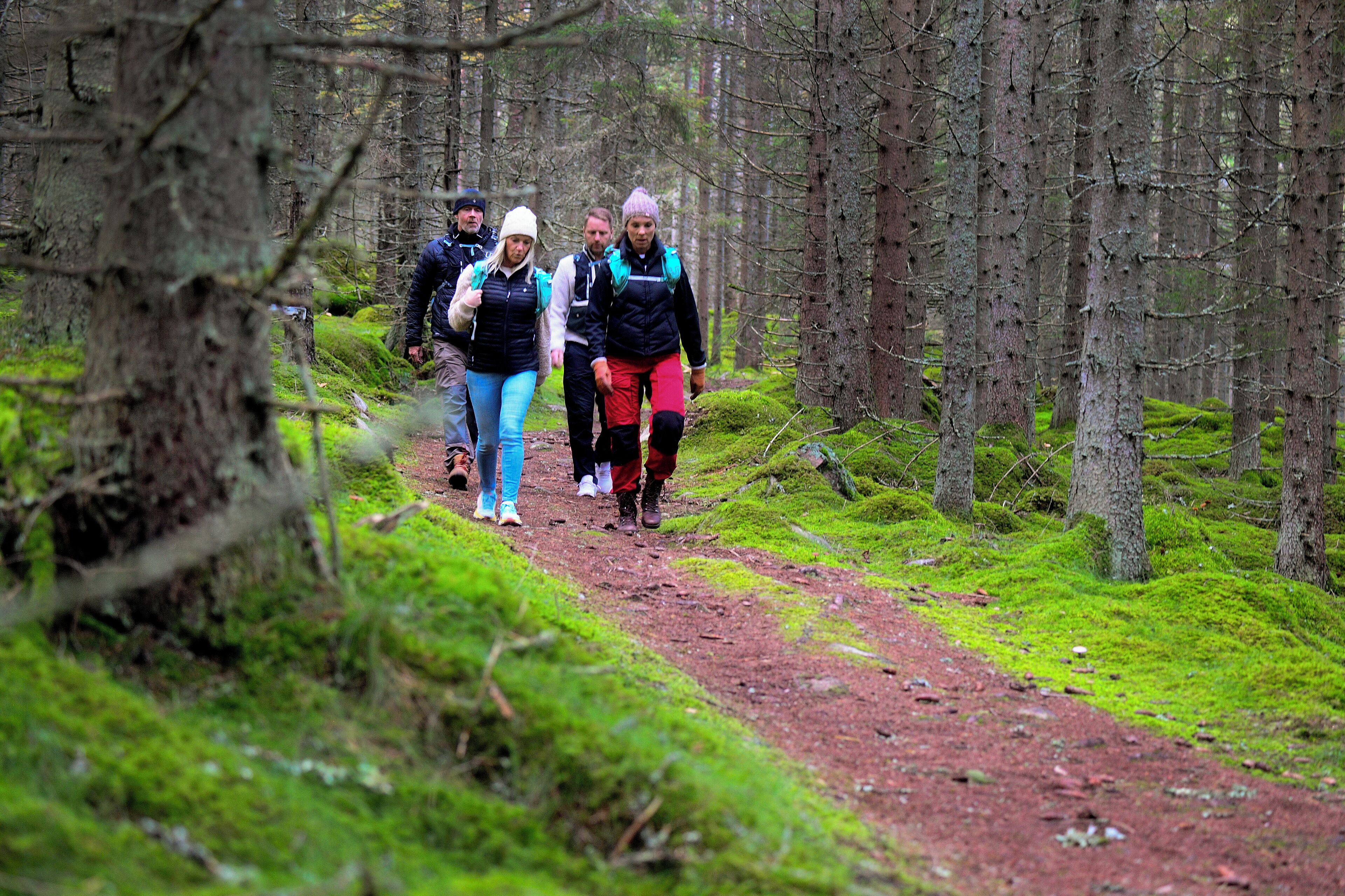 Un grupo de personas caminando por un sendero en el bosque.