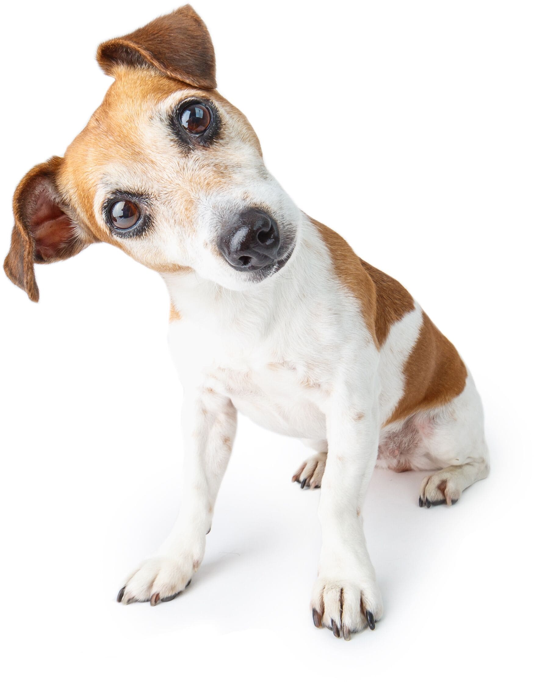 1 bedroom, individually decorated, individually furnished