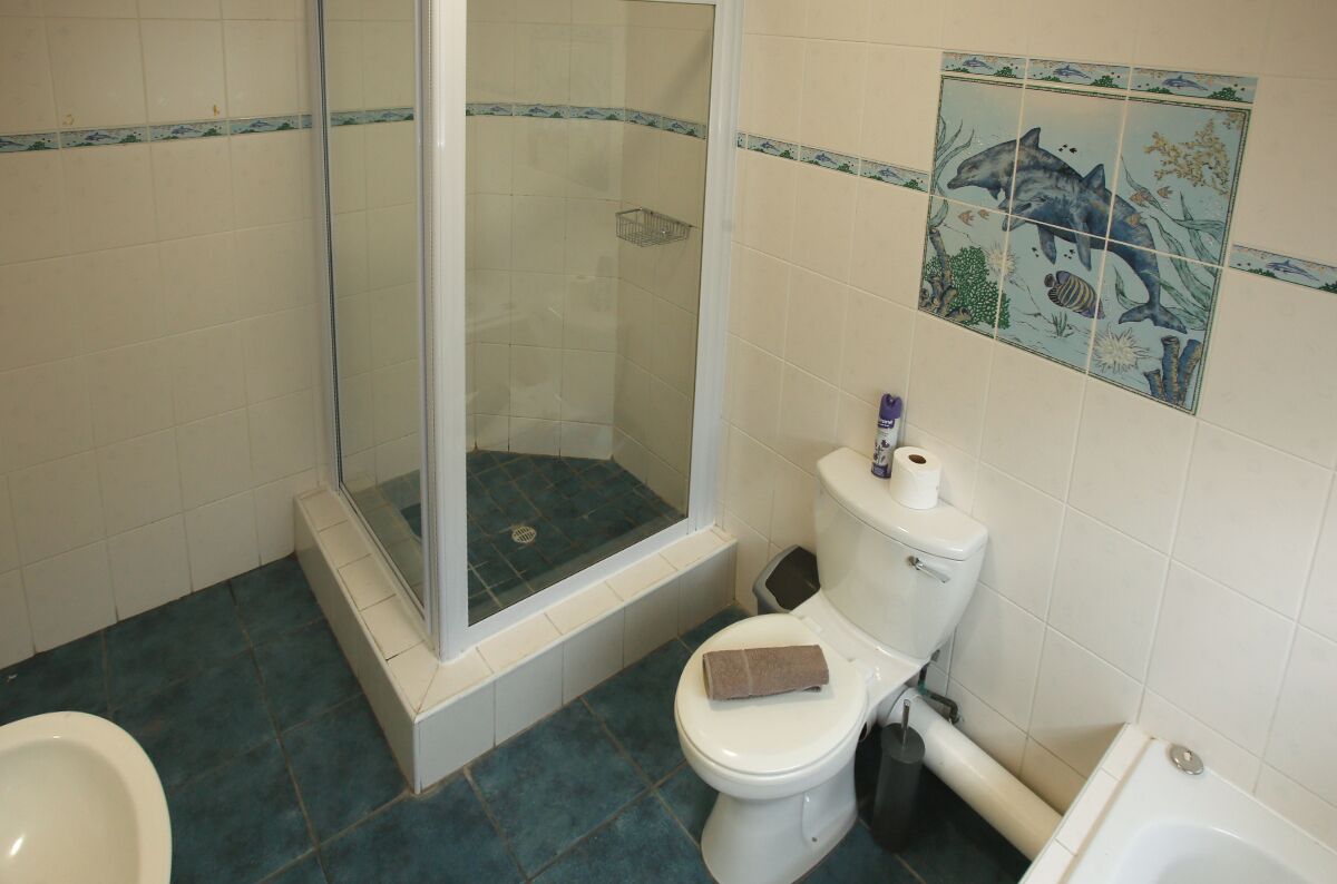 Un baño con ducha de vidrio, inodoro con papel higiénico y bañera.