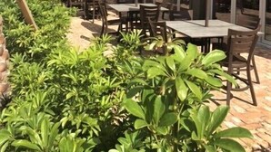 Een terras buiten met tafels en stoelen, overdekt met gestreepte parasols, omgeven door groen.