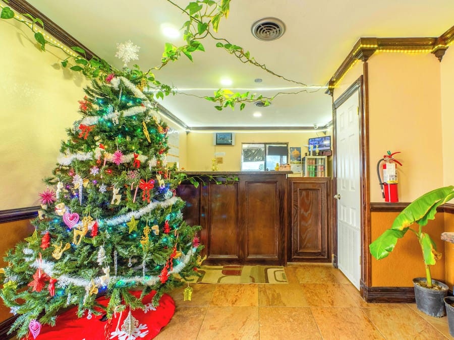 A lobby with a Christmas tree, wooden reception desk, and a potted plant.