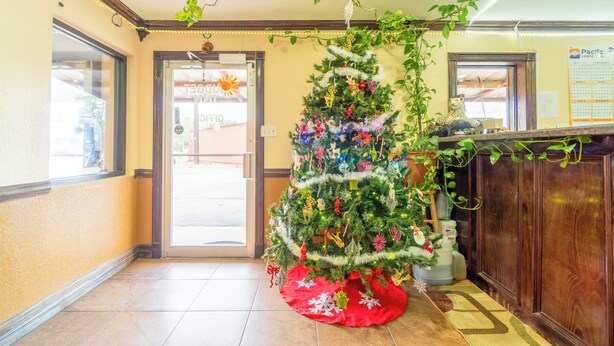 A Christmas tree in a hotel lobby with a red skirt, a wooden reception desk, and a calendar on the wall. - Budget Inn By OYO Edinburg Hwy 281 (Edinburg)