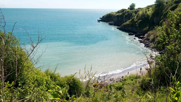 A coastal landscape with a clear view of the sea, a sandy beach, and a grassy cliff. - South Bay Holiday Park (Brixham)