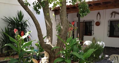 Casa Rural el Rincon del Infante