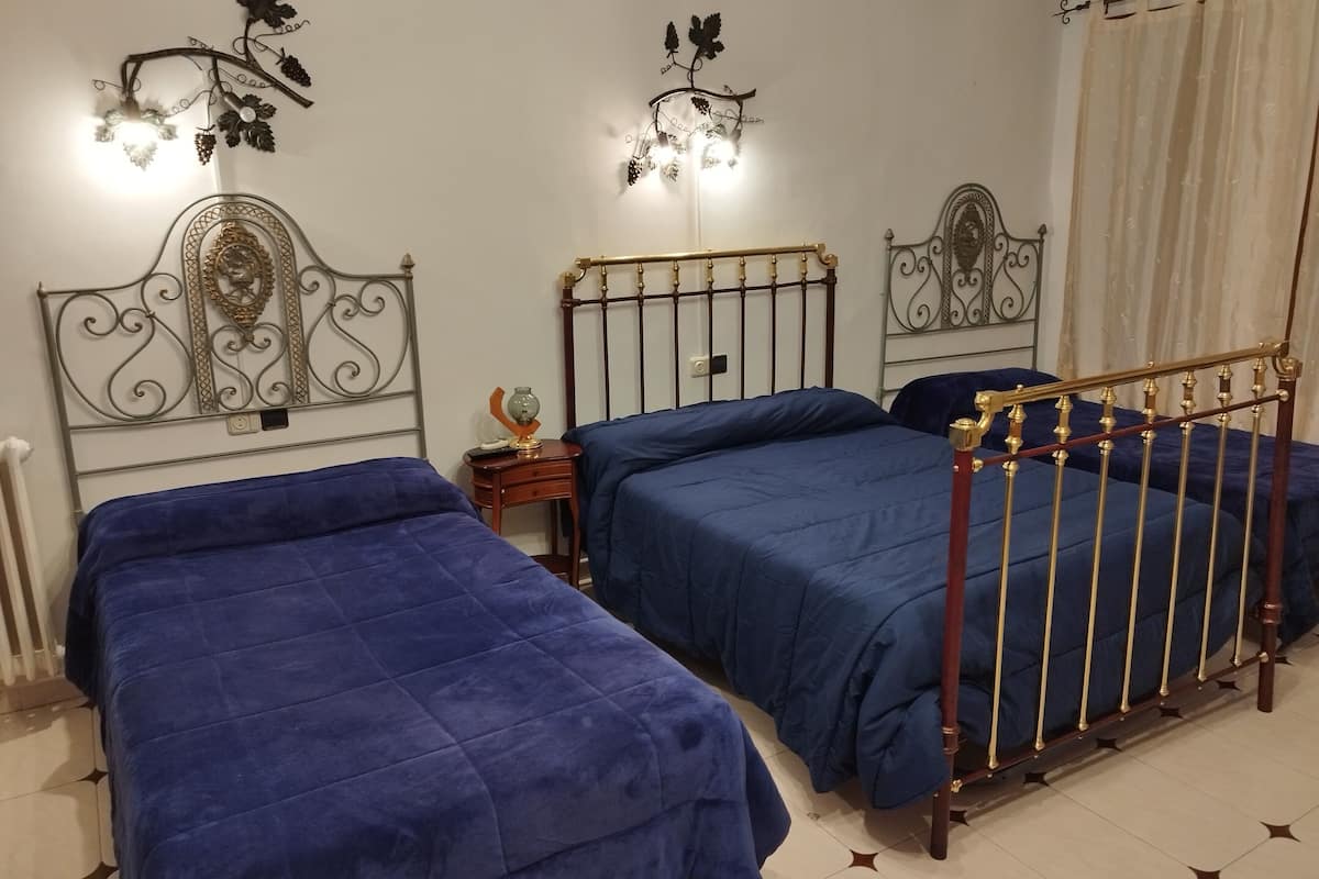 Une chambre avec deux lits, chacun recouvert d’une couvre-lit bleue et doté d’une tête de lit en métal. Des appliques murales et un radiateur sont fixés au mur.