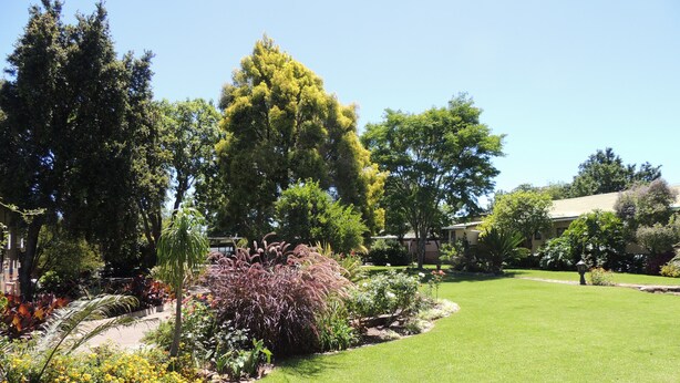 A well-maintained garden with various plants and a lawn. - Rita Guest House (Abaqulusi)
