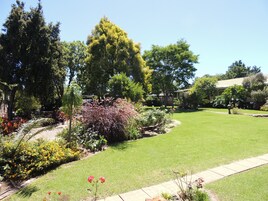 Um jardim bem cuidado com diversas plantas e gramado.