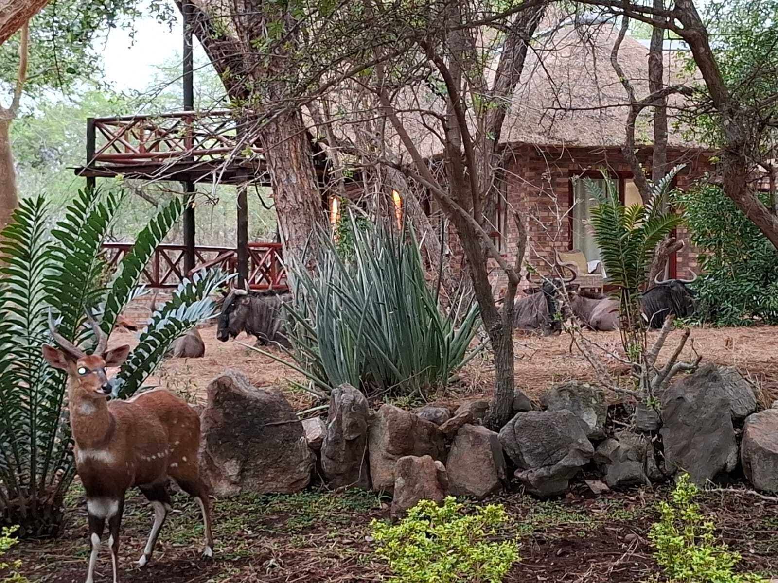 Un espace extérieur rustique agrémenté d’une structure au toit de chaume, d’un jardin de rochers et d’une statue de cerf.