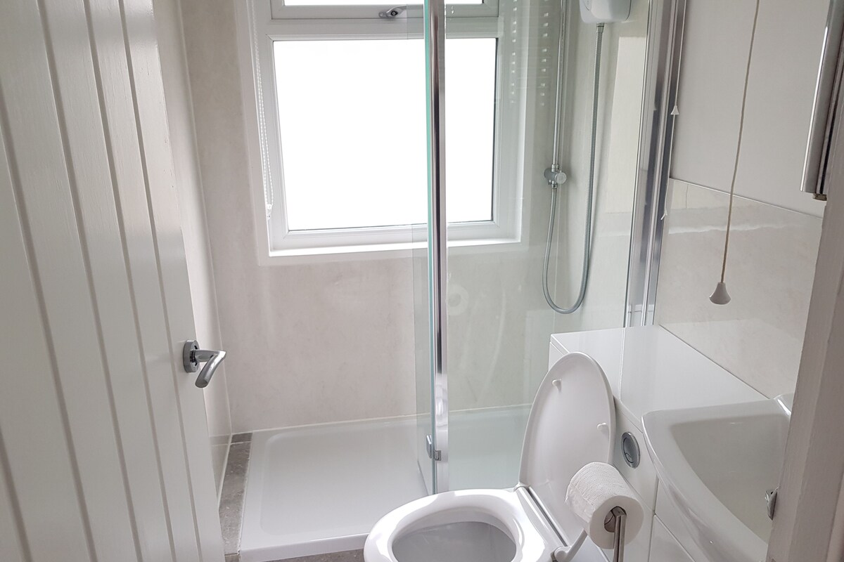 A modern bathroom with a glass shower enclosure, a toilet, and a bathtub.