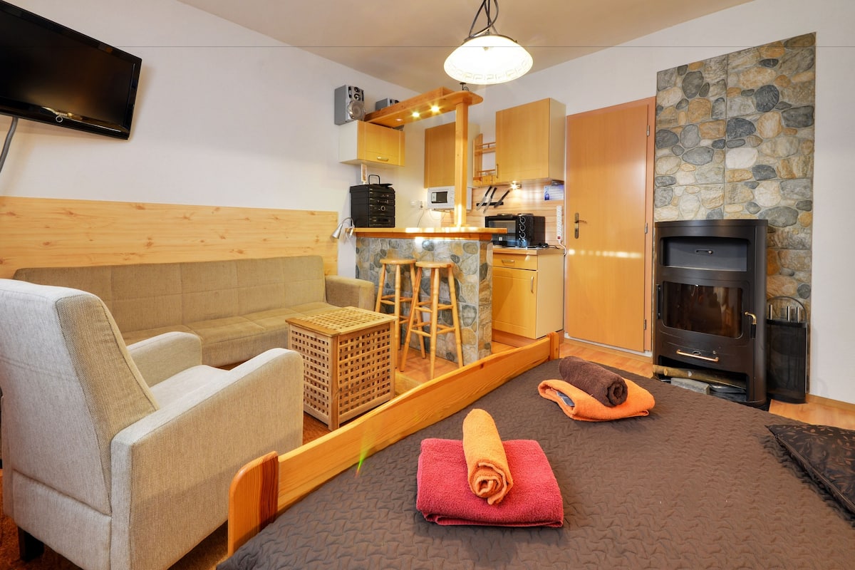 Een knus vertrek met een bank, een kitchenette, een stenen muur en een open haard.