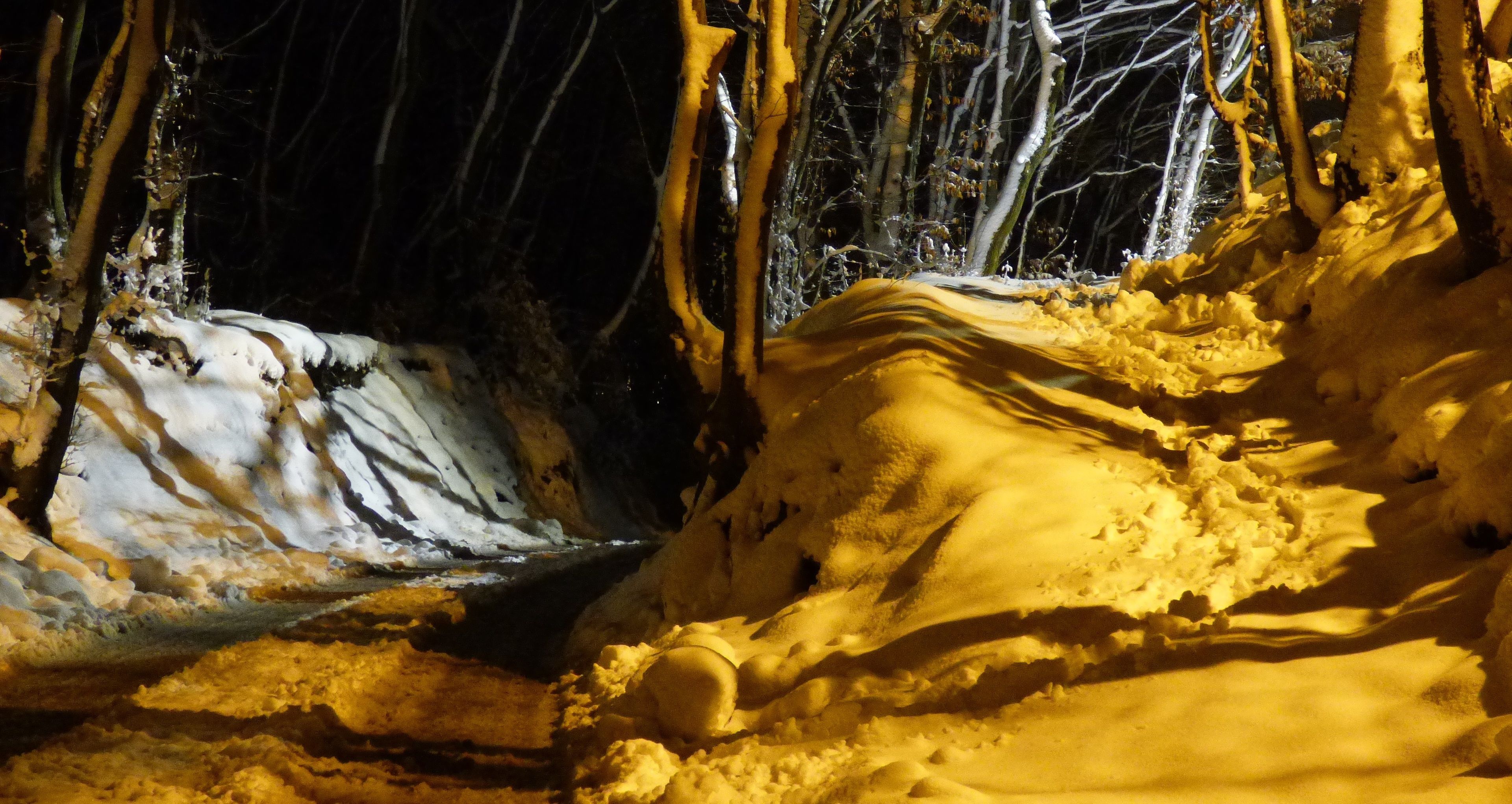 Foto - Spa & Pool Apartments Prestige VILLA IVICA