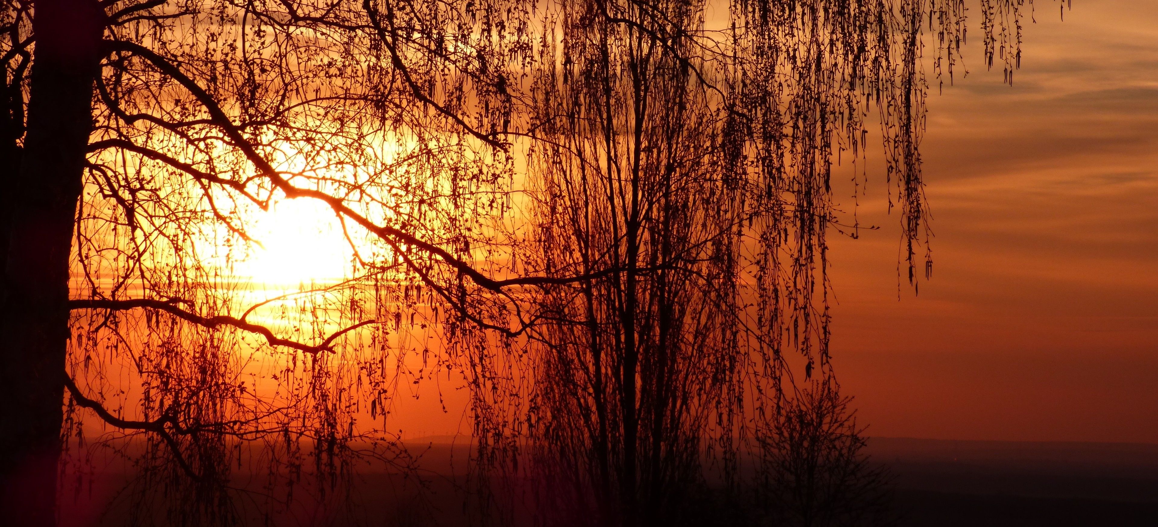 Foto - Spa & Pool Apartments Prestige VILLA IVICA