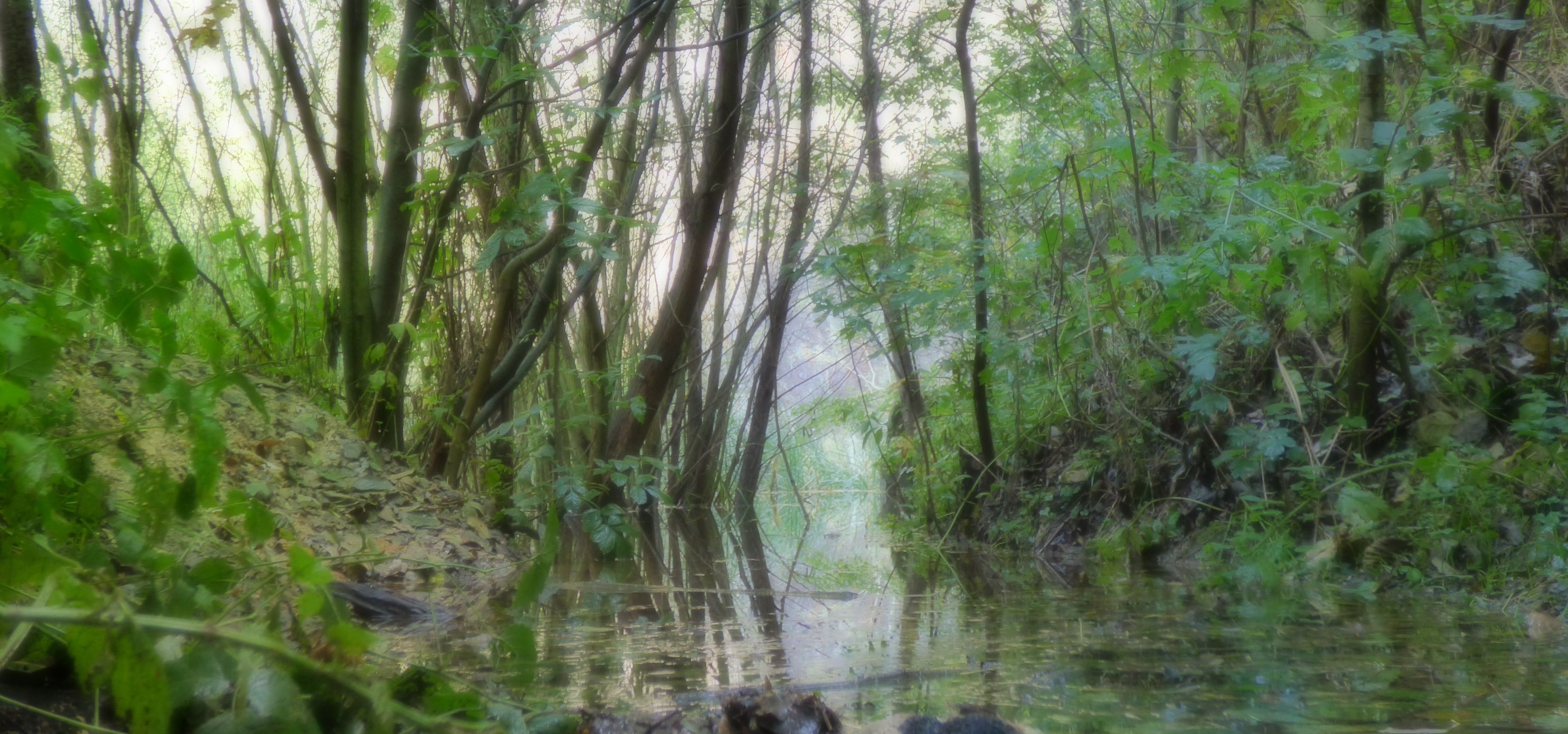 Foto - Spa & Pool Apartments Prestige VILLA IVICA