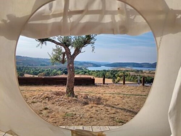 Vista da propriedade