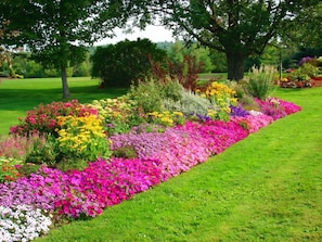 Jardin
