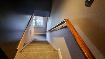 A carpeted stairway with a wooden handrail, leading to a landing with a window.