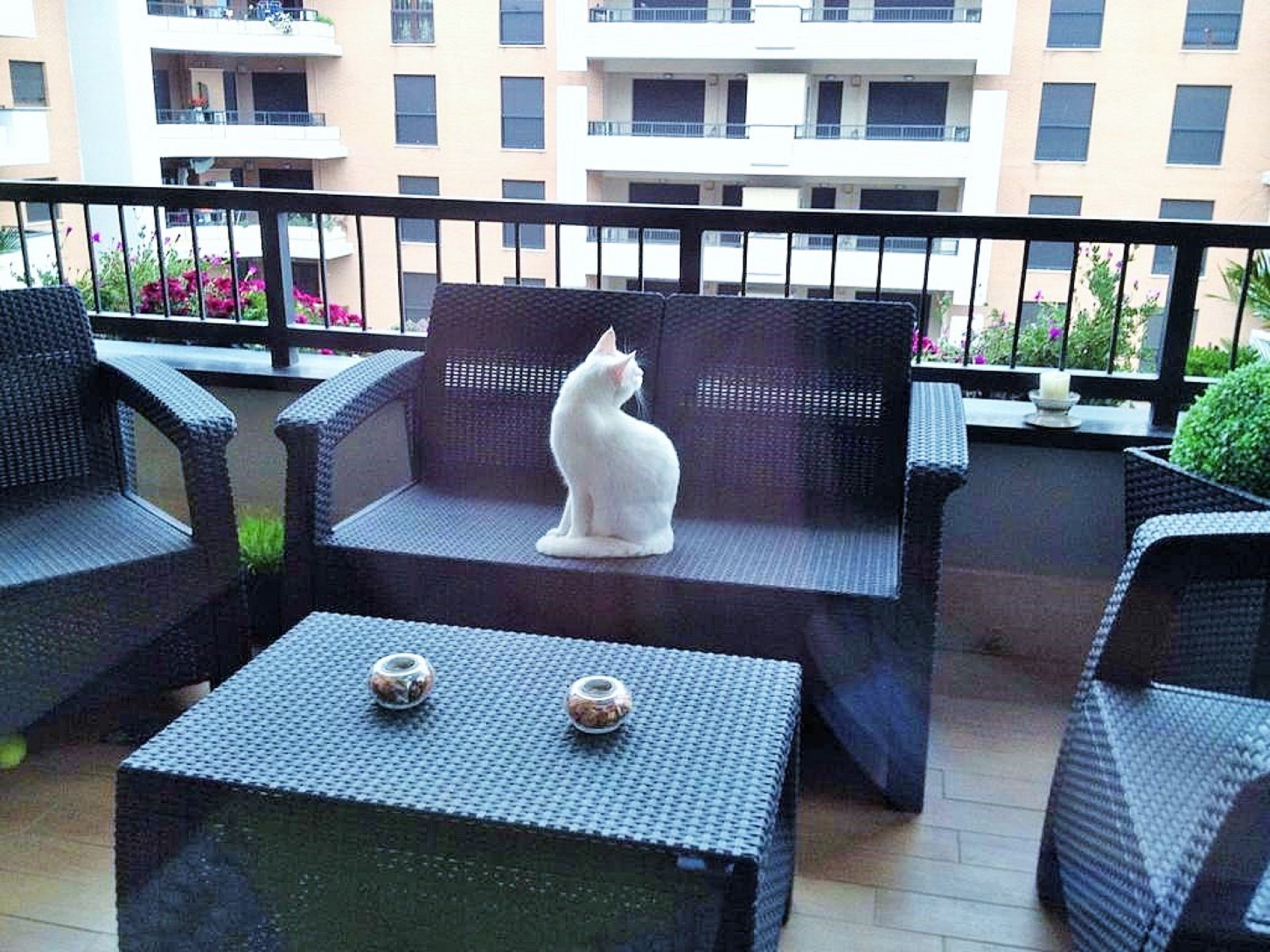 Terrazza/patio