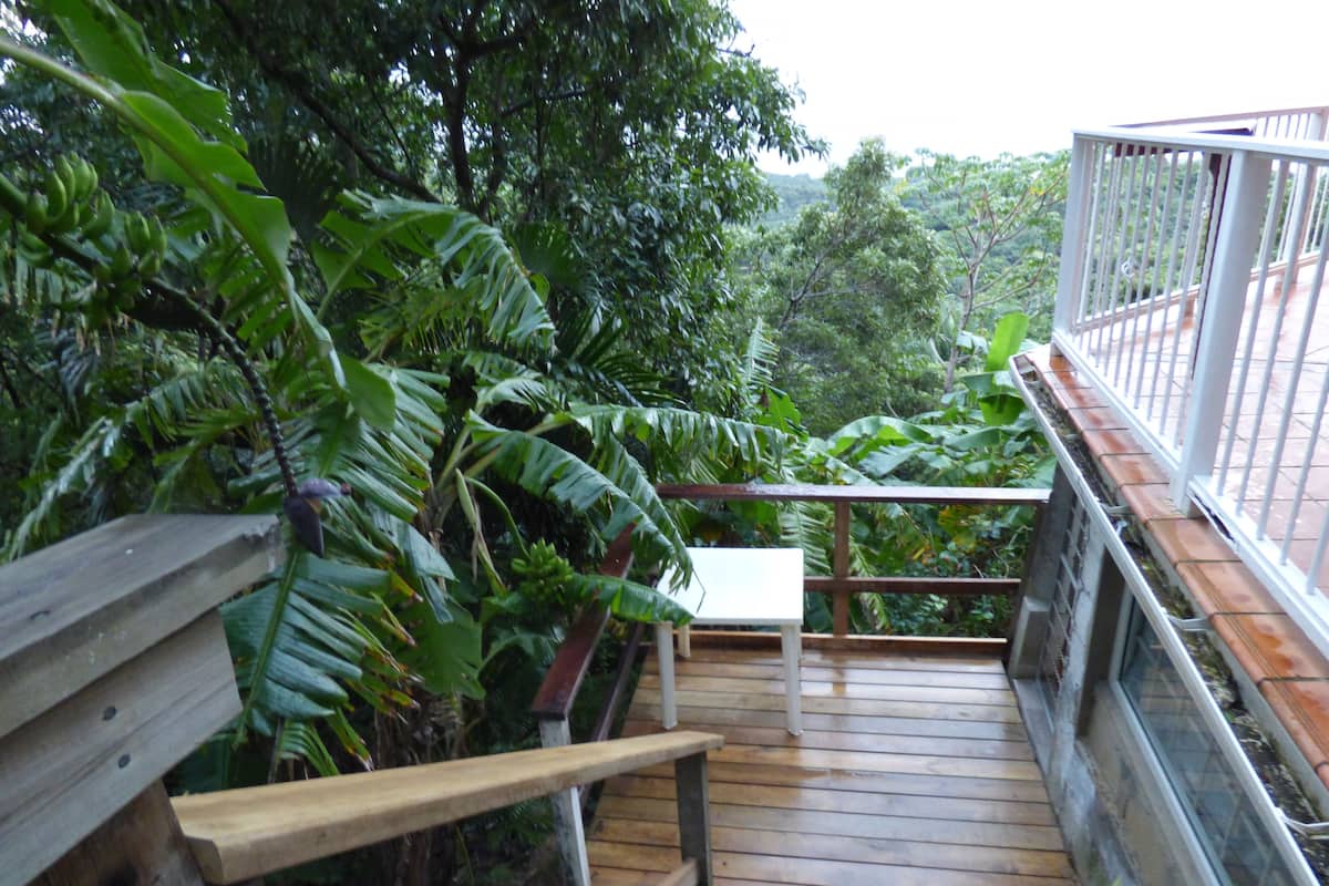 A wooden deck with a bench, surrounded by lush greenery and a railing.