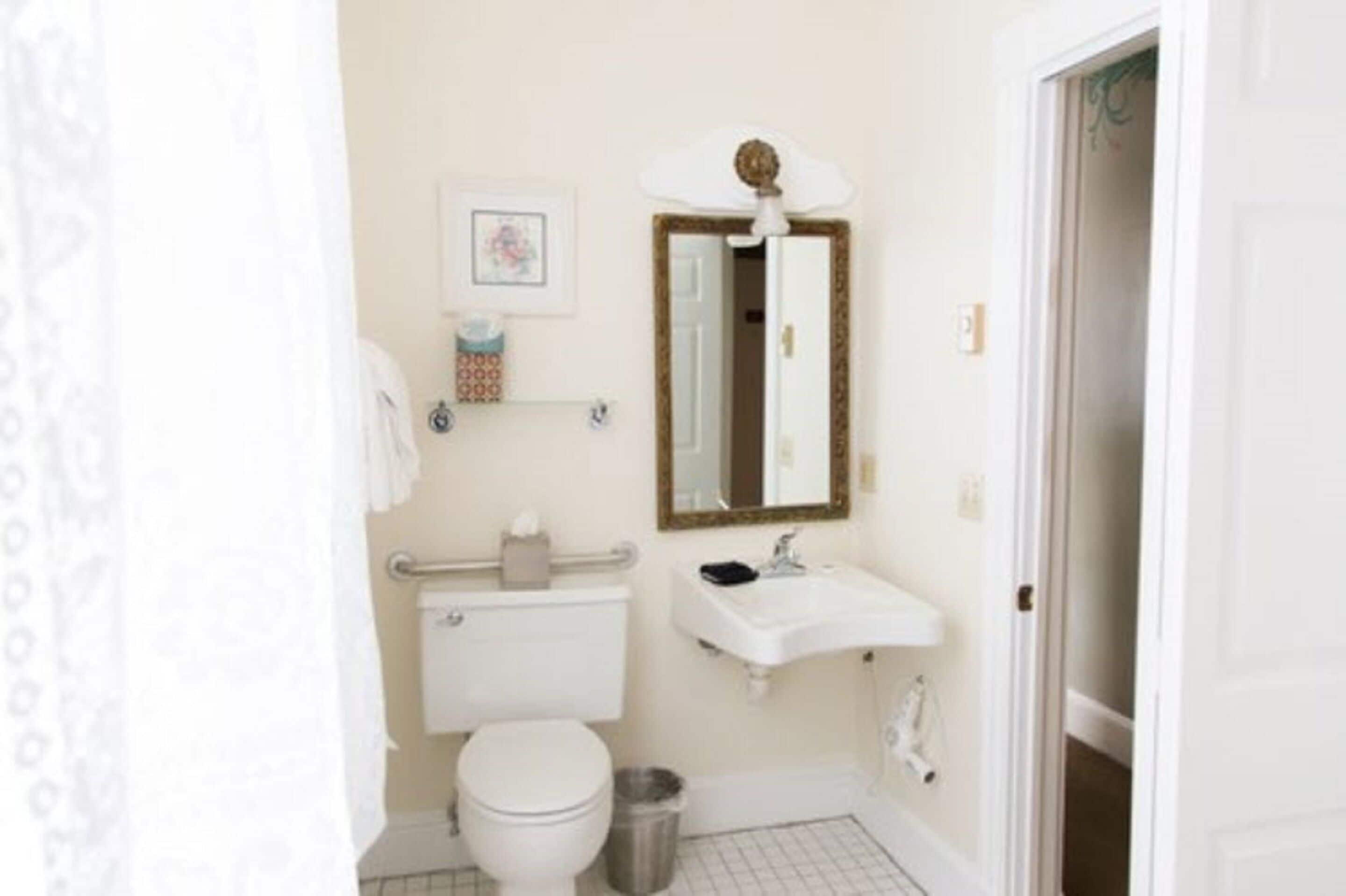 combined shower/bathtub, hair dryer, towels, soap