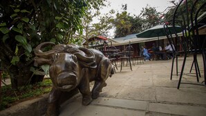 A bull statue in a courtyard with outdoor seating and a sign that reads "BUTCHERY". - Balis Best Bar and Resort (Nairobi)