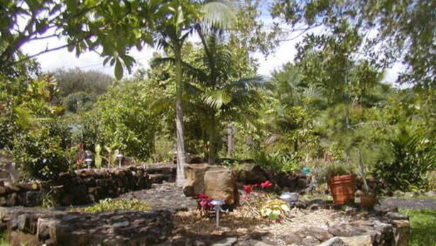 A stone structure surrounded by lush greenery and a variety of plants. - Old Hawaiian B and B (Hilo)