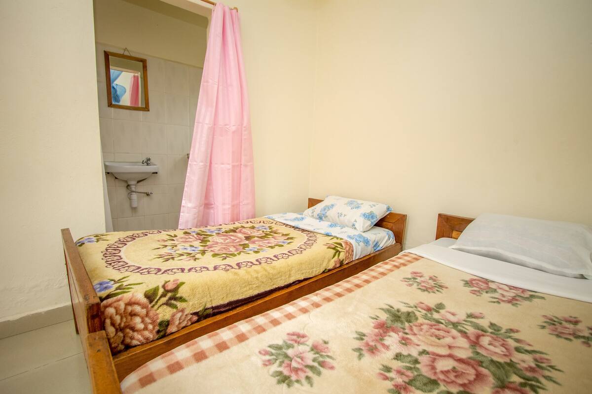 Basic Twin Room