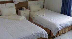 Desk, free WiFi - White Star Hotel (Meru)