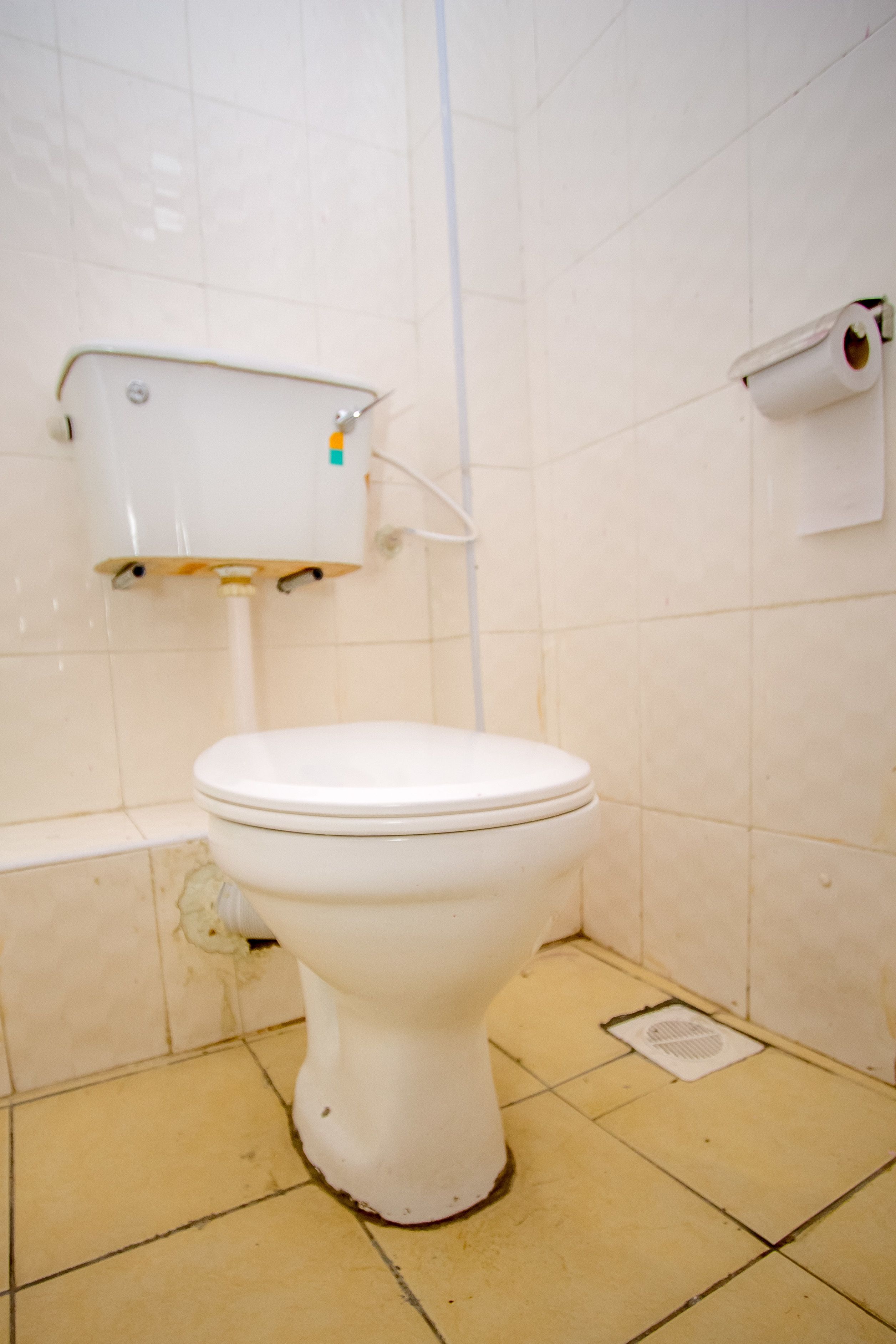 standard single room | bathroom | shower, free toiletries, towels