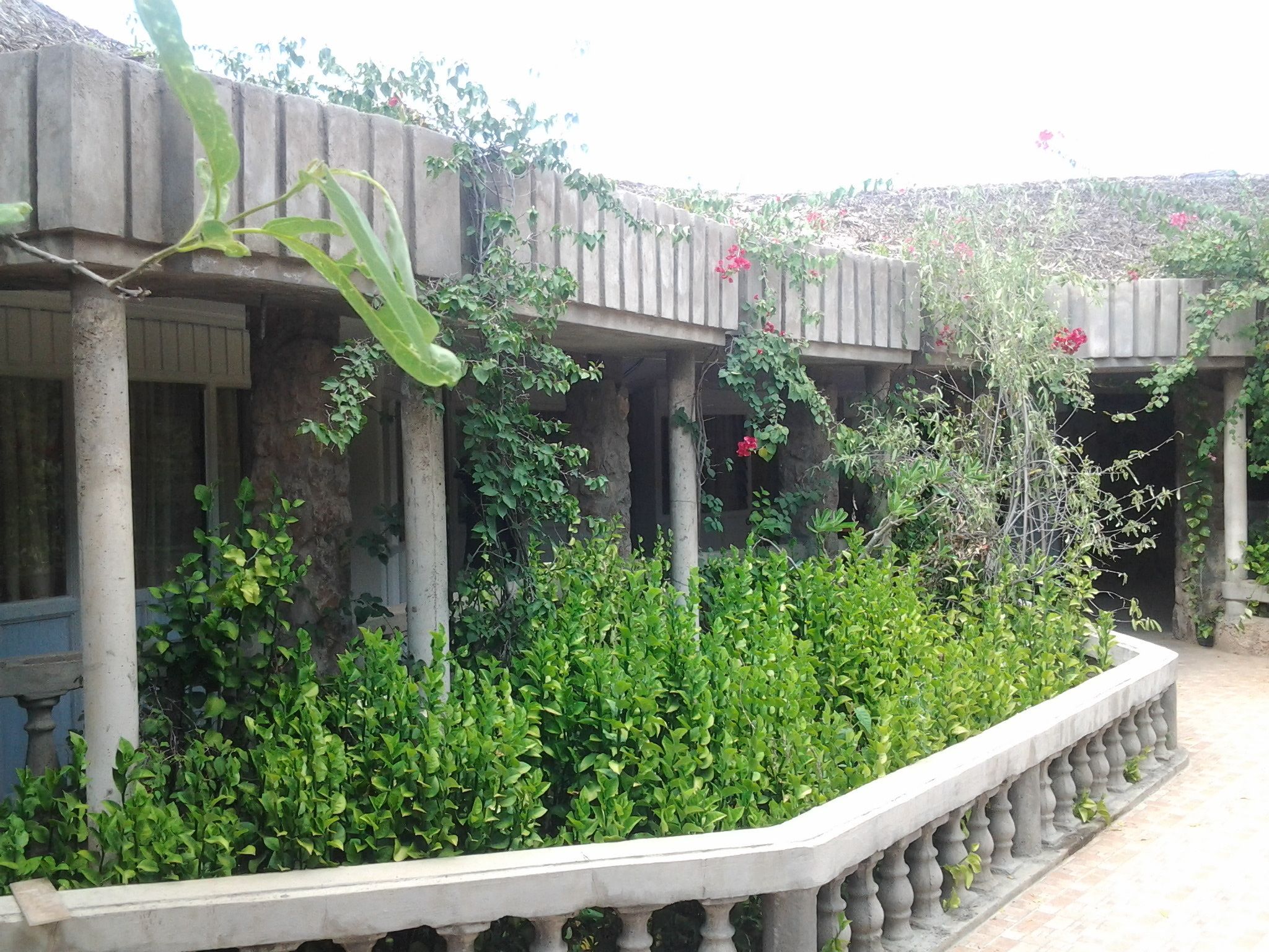 Un patio con balaustrada de piedra, vegetación y un edificio con columnas.